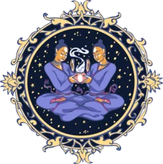 Fotobehang Astrological symbol on white background - Gemini © nataliahubbert