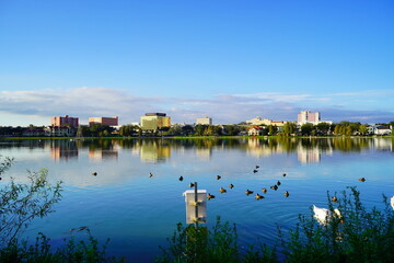Landscape of lake morton at the city center of lakeland Florida
