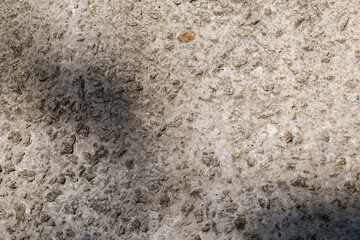 Fragment of the old concrete wall, outdoors partly sunlit
