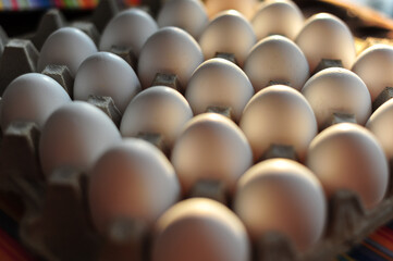 Close-up of a full carton of white eggs with soft light and shallow focus, suitable for food retail, packaging design, or nutrition and culinary stock imagery