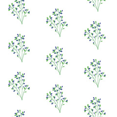 Fondo de plantas para decoración sin fondo