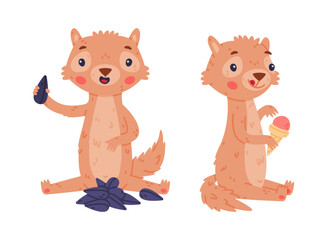 Cute Little Xerus Character with Pretty Snout Eating Seeds and Ice Cream Vector Set