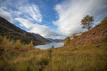 Obraz premium Scottish loch in Autumn