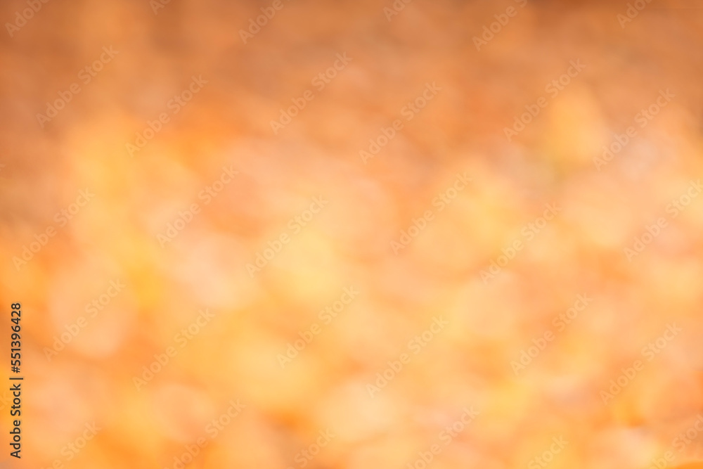 Poster autumn abstract bokeh effect background