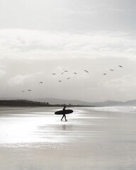 Vertical shot of a person with a surfboard walking to the water