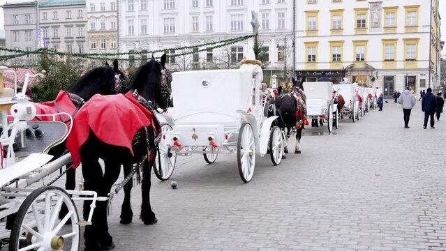 White horse-drawn carriages in the winter on the street in the center of Krakow, Poland. The horses are covered with red blankets to keep warm. Authentic scene of Polish traditions