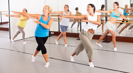 Fototapeta na wymiar Group of active women practicing energetic dance in a modern dance studio
