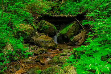 Stream in the forest. Water resources. Pure water