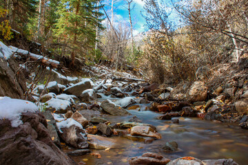 Autumn Stream