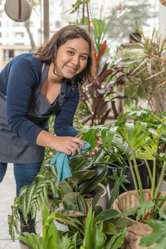 Smiling woman wiping green leaves of potted plants
