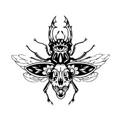 vector illustration of beetle with skull concept