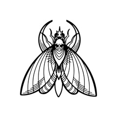 vector illustration of insect moth concept