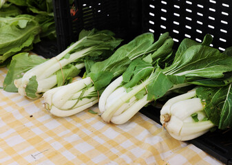 market bok choy