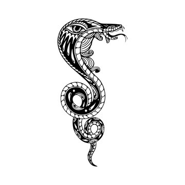 vector illustration of cobra snake tattoo concept