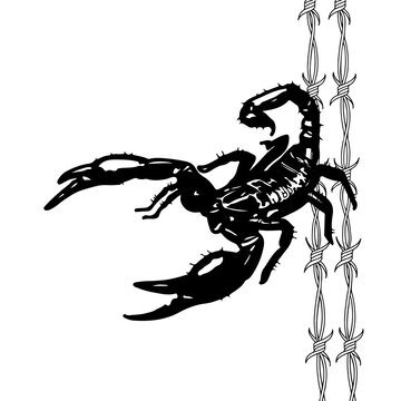 vector illustration of a scorpion with barbed wire