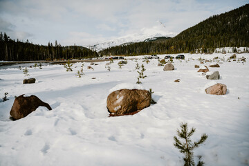 Naklejka premium mount hood view