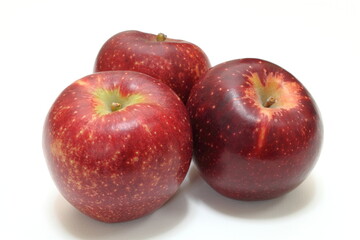 リンゴ（秋映）