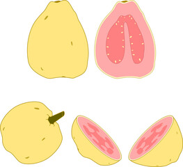 Set of guayava cut fruit illustration transparent
