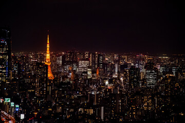 Fototapeta premium Tokyo Skyline at Night