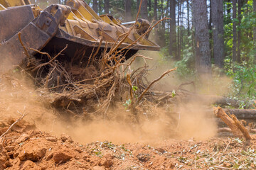With the use of tractors and skid steers, land was cleared roots to prepare for housing subdivision development