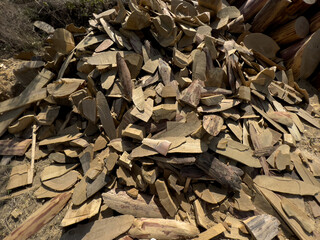 A pile of lumber for burning in the furnace. Harvesting firewood for winter.