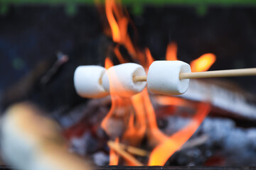 Delicious puffy marshmallows roasting over bonfire, closeup