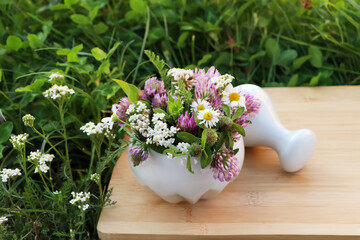 Ceramic mortar with pestle, different wildflowers and herbs on green grass outdoors