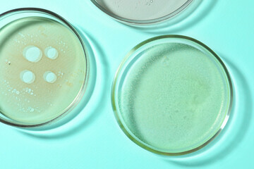 Petri dishes with liquids on turquoise background, flat lay