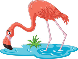 Cartoon flamingo on white background