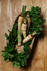 Tasty fresh ripe parsnips in wicker basket on wooden table, top view