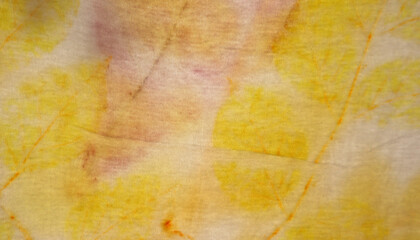 Texture and pattern of natural leaf in yellow ang pink color from eco print process.  Eco print on white fabric background. 