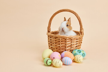 Easter bunny rabbit with painted eggs on light brown background. easter holiday concept.