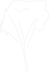 hand drawing of a flower