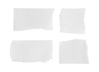 Set of White ripped piece of paper isolated on transparent background PNG file