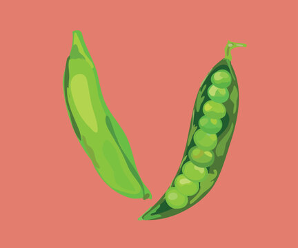 peruvian peas illustration