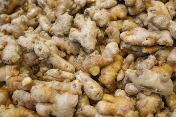fresh organic ginger in pile as food background