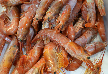 fresh frozen raw red coral shrimp