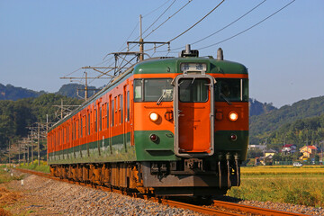 Naklejka premium 岩舟～大平下間を走行する列車