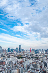 日本の首都東京の都市風景