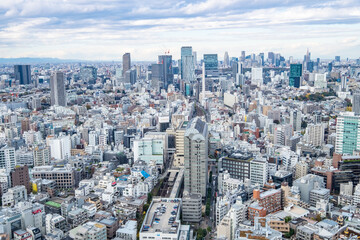 Fototapeta premium 日本の首都東京の都市風景