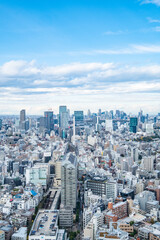 Fototapeta premium 日本の首都東京の都市風景