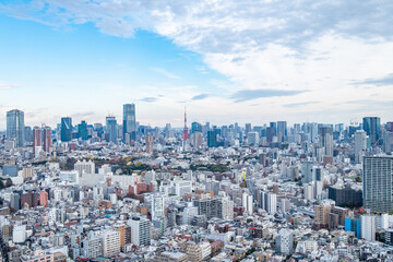Fototapeta na wymiar 日本の首都東京の都市風景