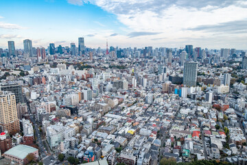 Fototapeta premium 日本の首都東京の都市風景