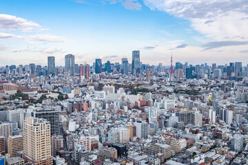 Fototapeta premium 日本の首都東京の都市風景