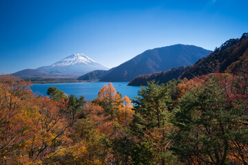 Fototapeta premium 紅葉の本栖湖と冠雪した富士山
