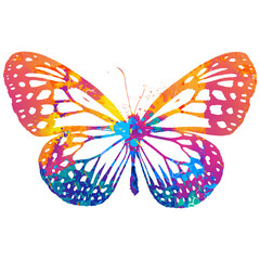 Watercolor Butterfly, Abstract Butterfly, Colorful Butterfly, Butterfly Illustration, Butterfly Drawing, Butterfly, Transparent, PNG
