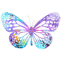 Watercolor Butterfly, Abstract Butterfly, Colorful Butterfly, Butterfly Illustration, Butterfly Drawing, Butterfly, Transparent, PNG