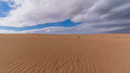 Fototapeta na wymiar Sand dunes during sunny day with blue sky and clouds, Corralejo, Canary Islands