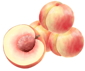 美味しそうな瑞々しい桃のイラスト／Illustration of a delicious and fresh peach