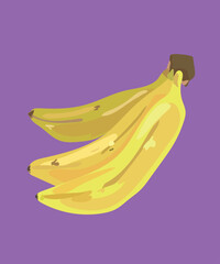 fig banana vector illustration